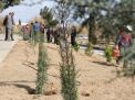 گزارش تصویری از آئیین درختکاری و تقدیر ازهمکاران فضای سبز دانشگاه